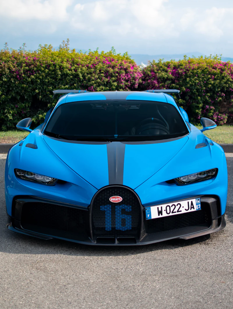 A blue Bugatti Chiron Pur Sport seen head-on, in front of a flowering hedge